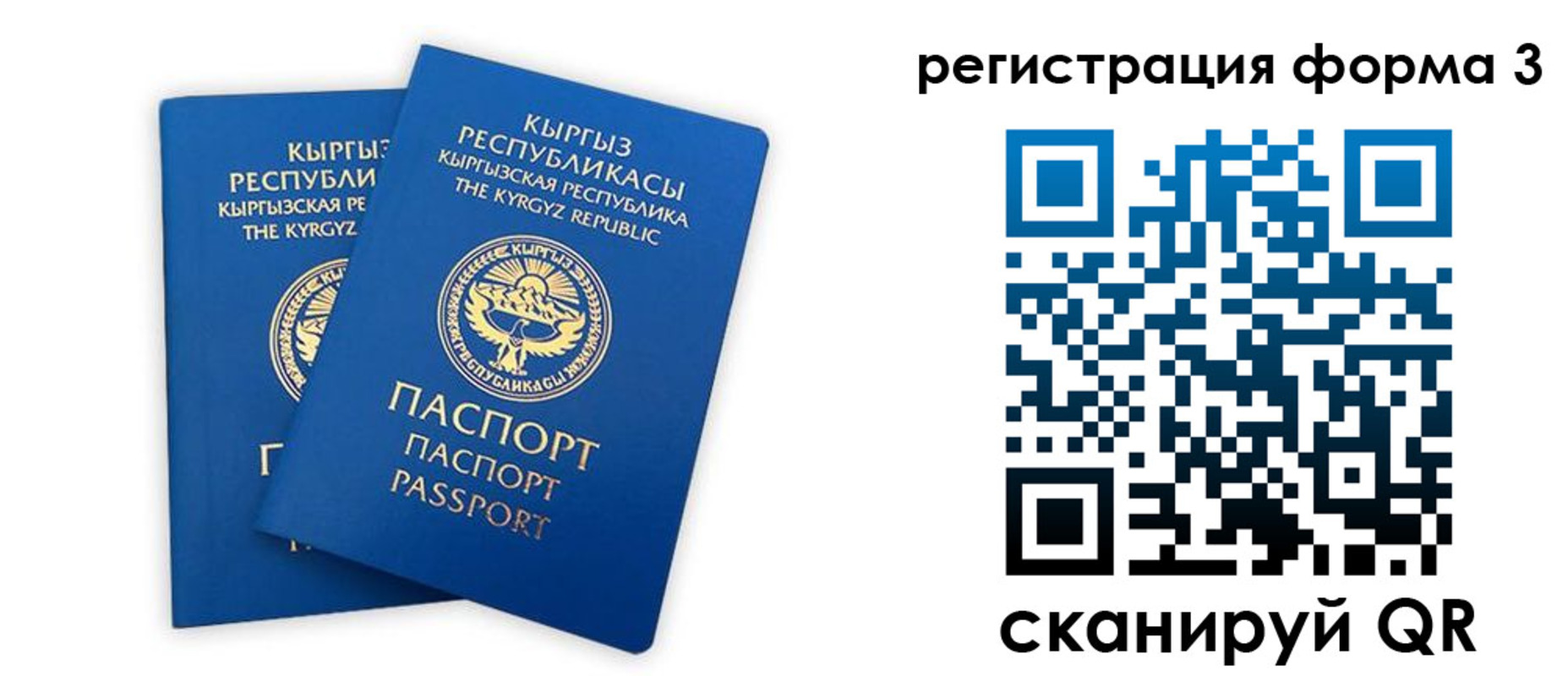 временная регистрация госуслуги в Фролово